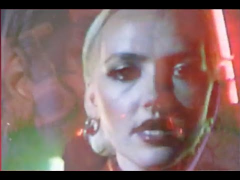 Just Mustard - WE WERE JUST HERE (Official Video)