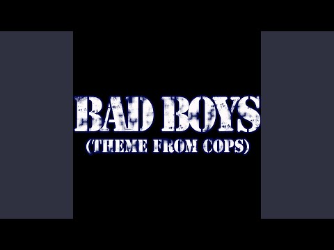 Bad Boys (Theme from Cops)