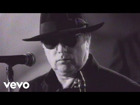 Van Morrison - Days Like This (Official Video)