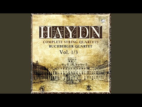 Quartet Divertimento in D Major, Op. 1 No. 3, Hob. III:3: I. Adagio