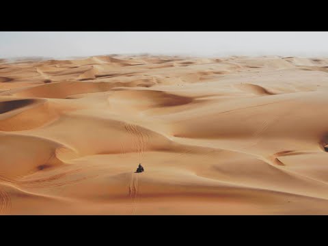 Martin Garrix &amp; Third Party - Lions In The Wild [Official Video]