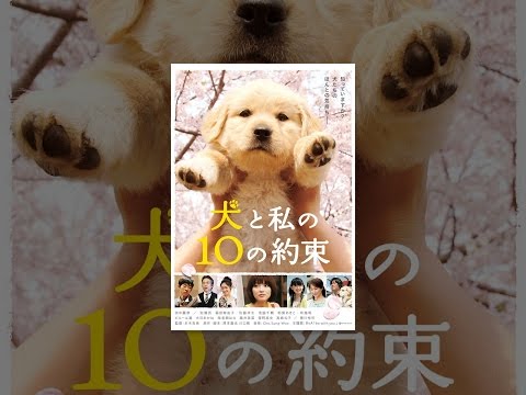 犬と私の１０の約束