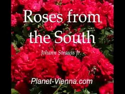 Johann Strauss - Roses from the South (Waltz, Orch.) 南国のバラ