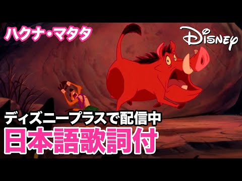 ディズニー・ミュージック・ショーケース／ハクナ・マタタ｜ディズニープラス