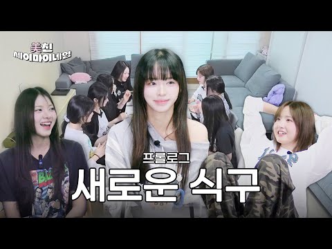 새 식구가 생겼습니다⎜세이마이네임의 NEW 멤버 슈이와 밥 한 끼🍚⎜美친 세이마이네임 프롤로그