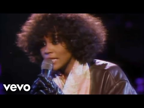 Whitney Houston - Didn&#039;t We Almost Have It All (Official Video)
