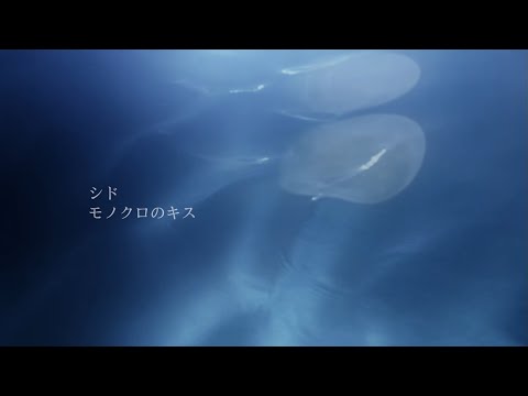 シド 『モノクロのキス』Music Video