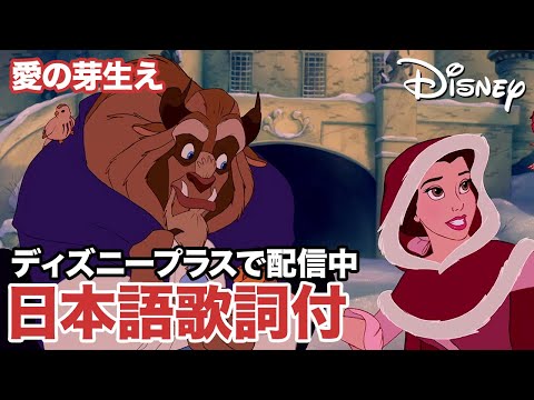 ディズニー・ミュージック・ショーケース／愛の芽生え｜ディズニープラス