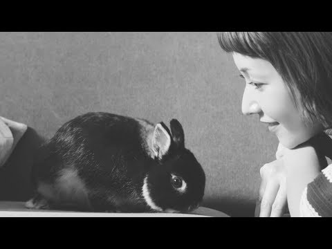 木村カエラ - BREAKER Music Video（Short Ver.）
