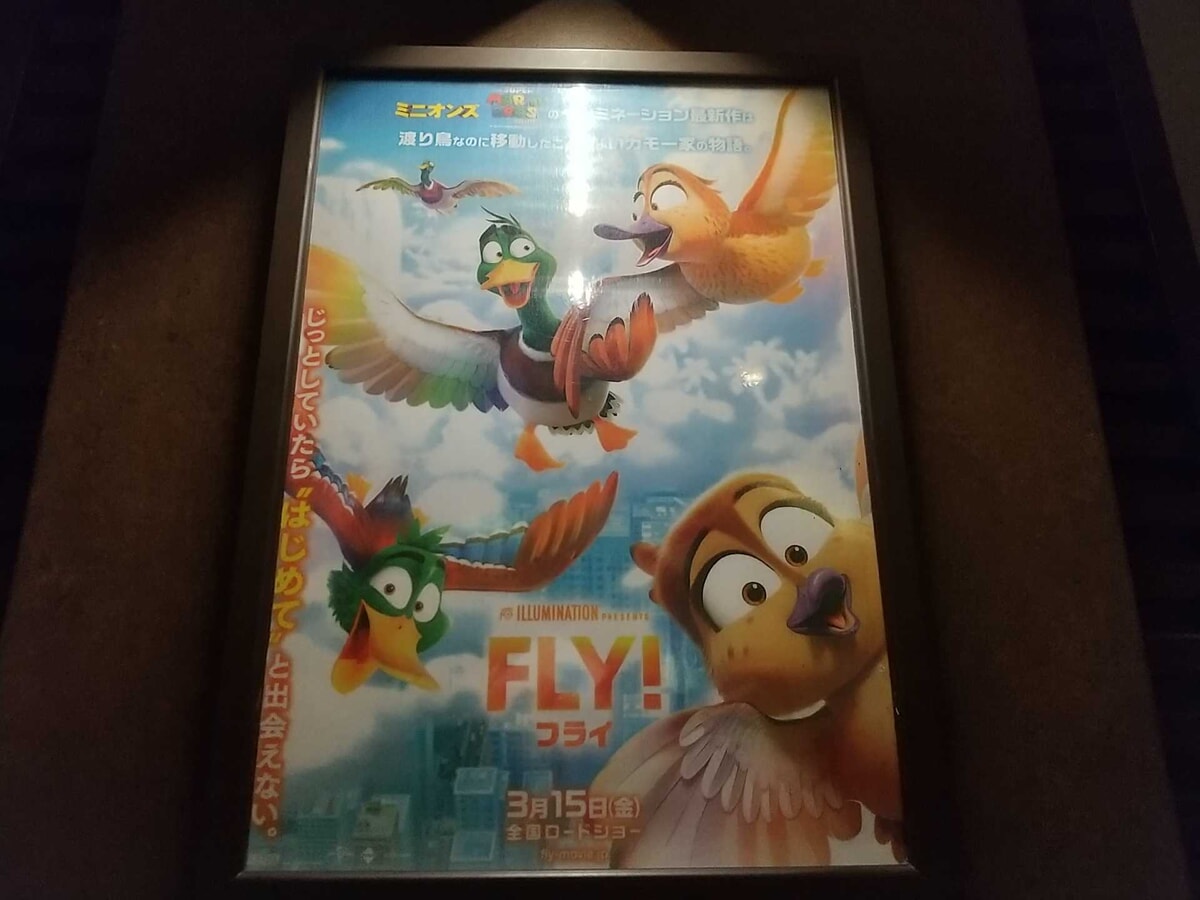 映画『FLY！／フライ！』のポスター