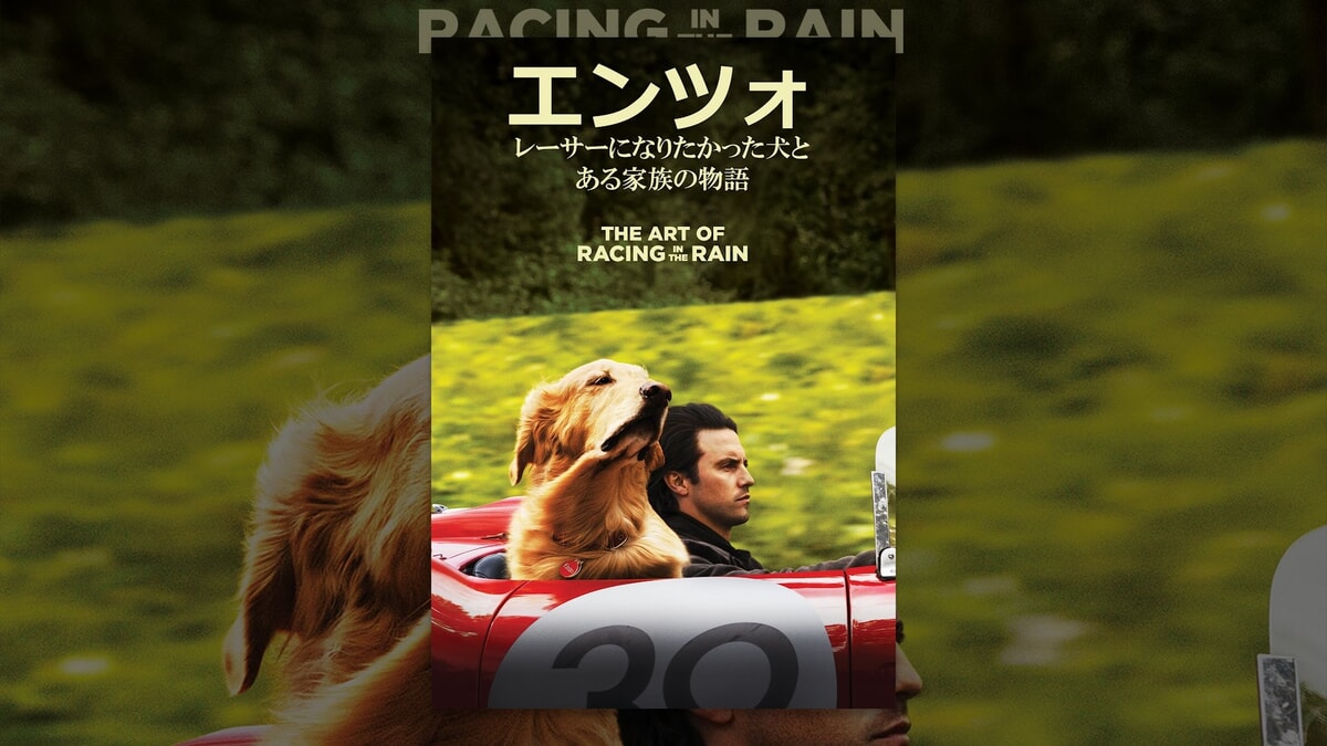 映画『エンツォ レーサーになりたかった犬とある家族の物語』をネタバレ解説！人間になりたいわんこが、主人と共に波乱万丈の犬生を送る。