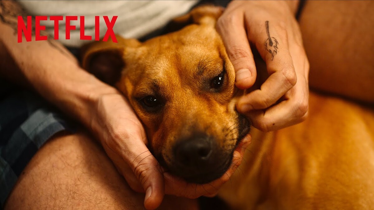 Netflix映画『カラメロ』をネタバレ解説！絶望の淵に立たされた青年を輝かせたのは、やんちゃな彼だった。